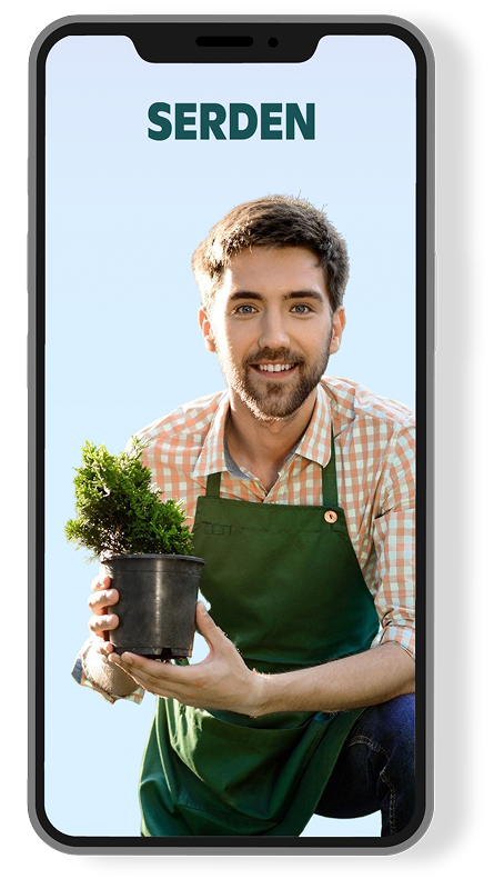 Phone Mockup